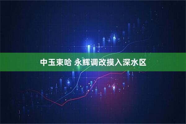 中玉束哈 永辉调改摸入深水区