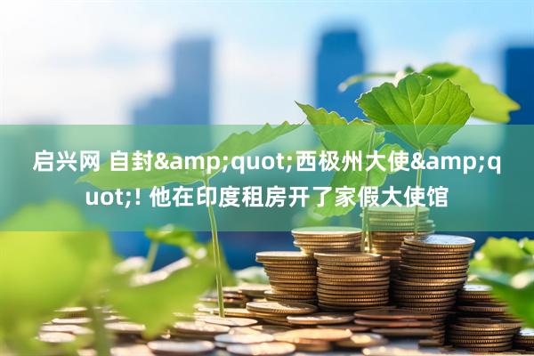启兴网 自封&quot;西极州大使&quot;! 他在印度租房开了家假大使馆