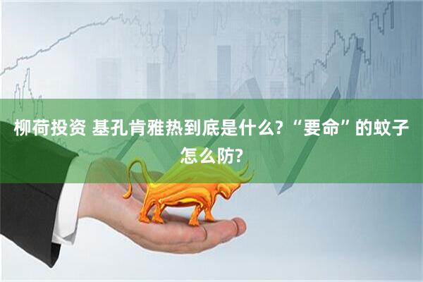 柳荷投资 基孔肯雅热到底是什么? “要命”的蚊子怎么防?