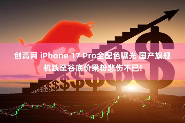 创高网 iPhone 17 Pro全配色曝光 国产旗舰机跌至谷底价果粉悲伤不已!