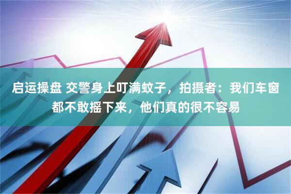 启运操盘 交警身上叮满蚊子，拍摄者：我们车窗都不敢摇下来，他们真的很不容易