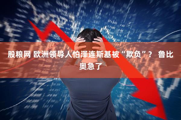 股粮网 欧洲领导人怕泽连斯基被“欺负”？ 鲁比奥急了