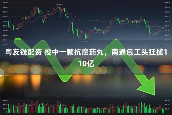 粤友钱配资 投中一颗抗癌药丸，南通包工头狂揽110亿
