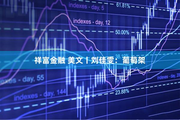祥富金融 美文丨刘佳雯：葡萄架