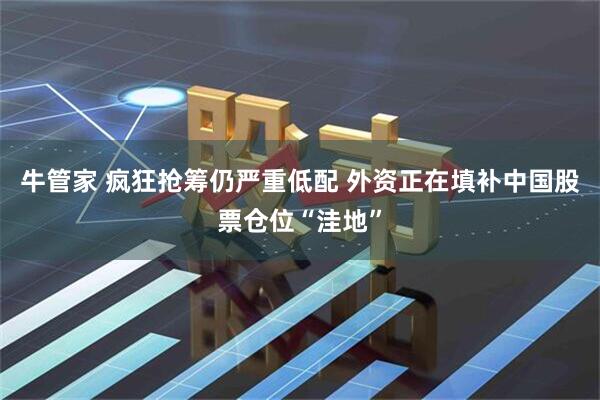 牛管家 疯狂抢筹仍严重低配 外资正在填补中国股票仓位“洼地”