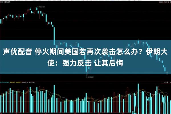声优配音 停火期间美国若再次袭击怎么办？伊朗大使：强力反击 让其后悔